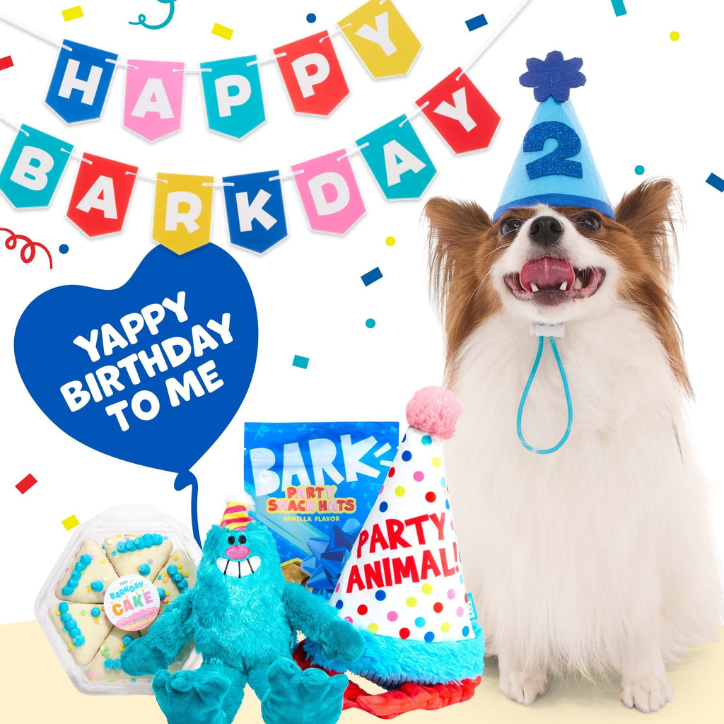 Birthday Classic Plush Gift Box