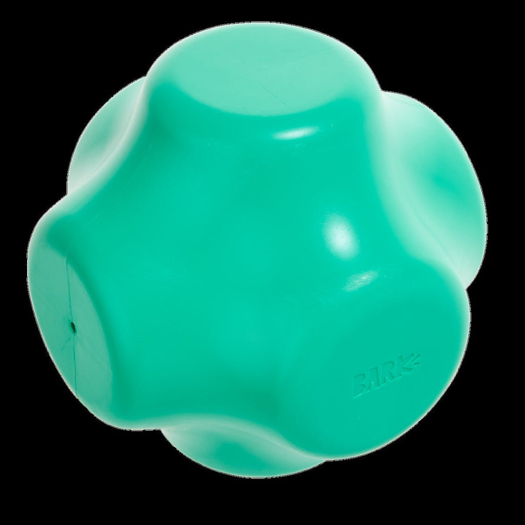 Evergreen Bolder Super Chewer Durable Gnaw Dog Toy