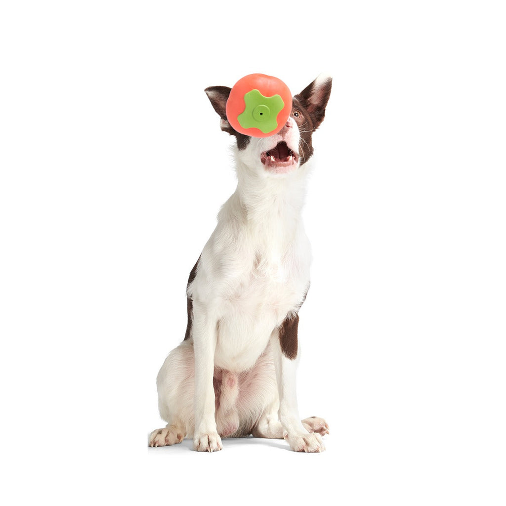 Tomato Tomutto Super Chewer Durable Fetch Dog Toy