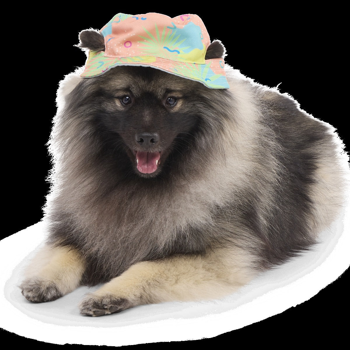 Summertime Reversible Bucket Dog Hat