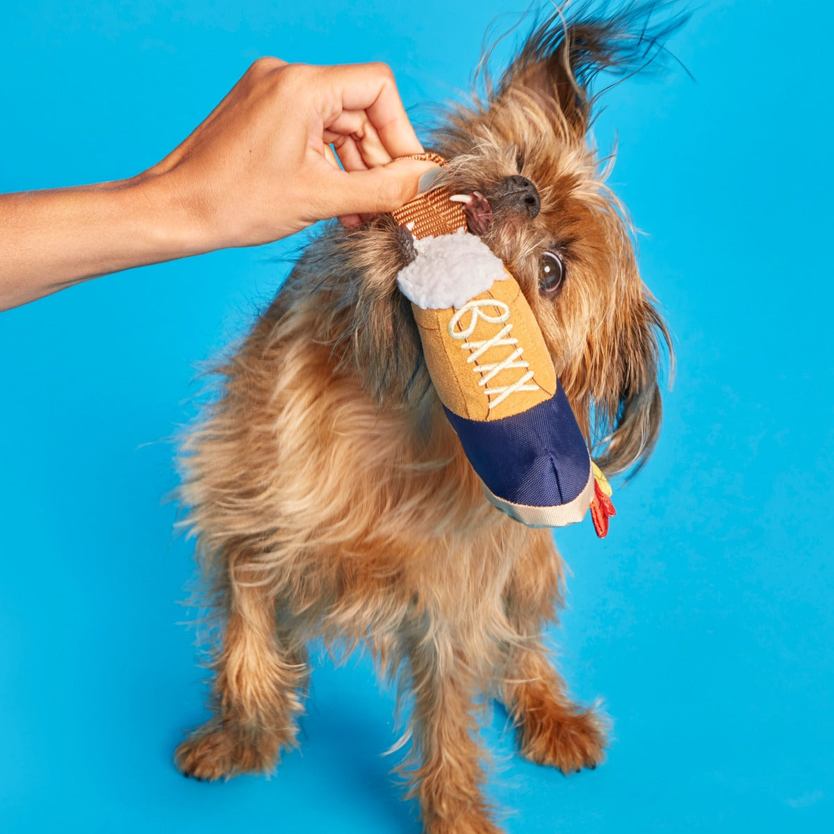 Barkwoods Boot Plush Tug Dog Toy