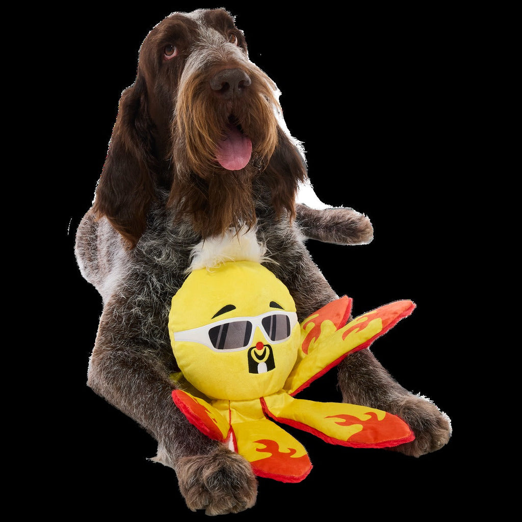 Off The Hook Ollie Plush Extra-Large + Tug Dog Toy