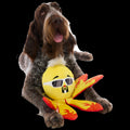 Off The Hook Ollie Plush Extra-Large + Tug Dog Toy