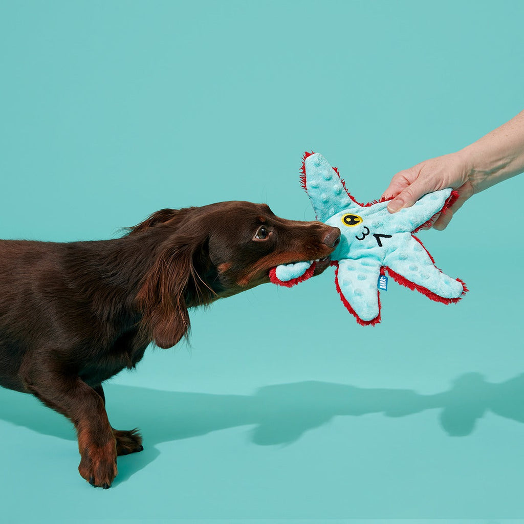 Carl Starfish Plush Tug Dog Toy