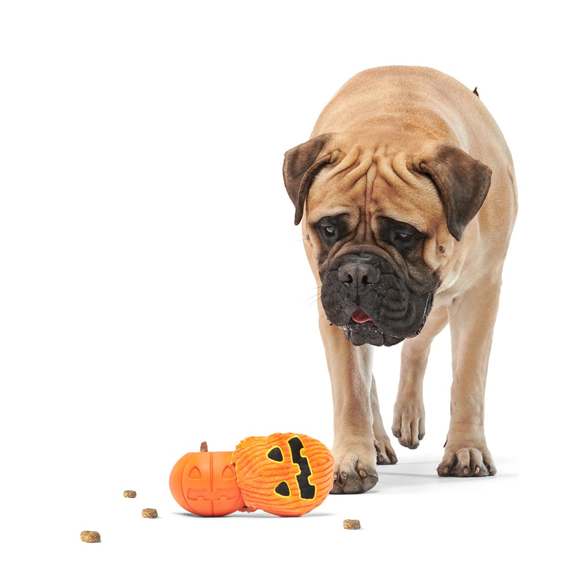 The Grrreat Pumpkin Super Chewer Durable 2-in-1 + Enrichment Dog Toy