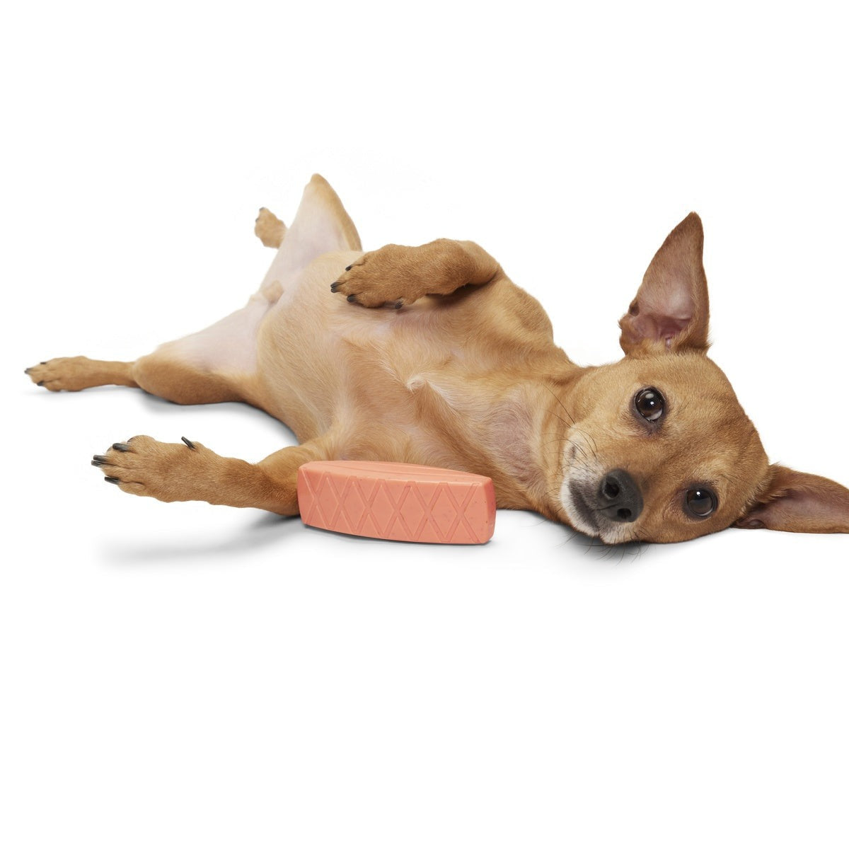Seared Salmuch Super Chewer Durable Gnaw Dog Toy