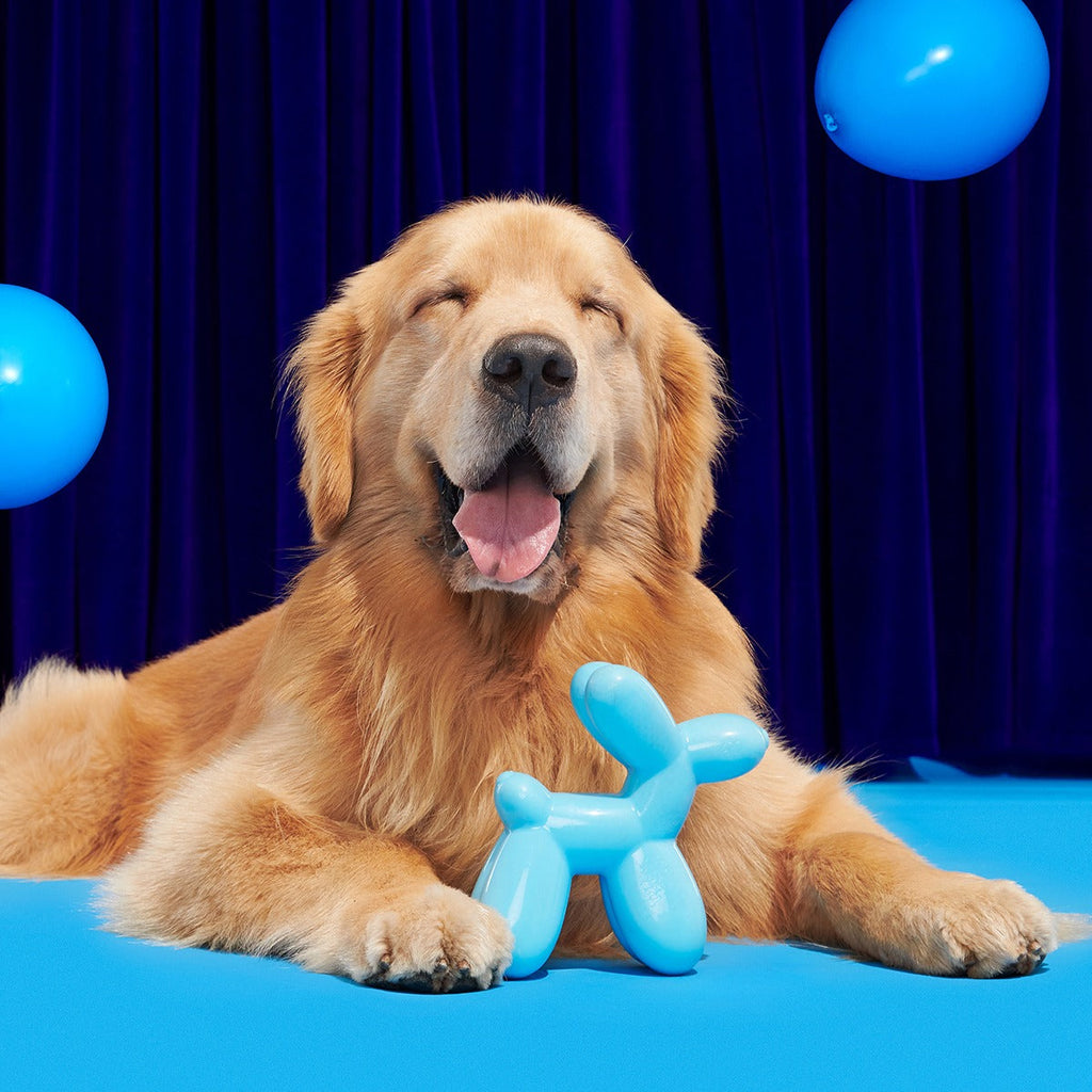 Birthday Super Chewer Box (Toy-Only) - One Month Gift Box