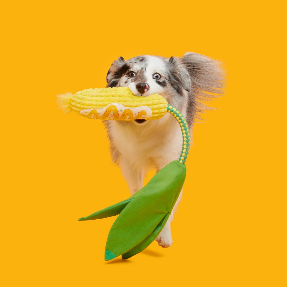 Elote Fun Corn Plush Tug Dog Toy