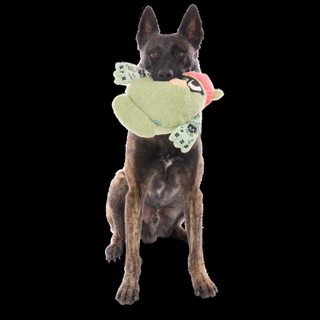 Bearista Plush Extra-Large + Tug Dog Toy