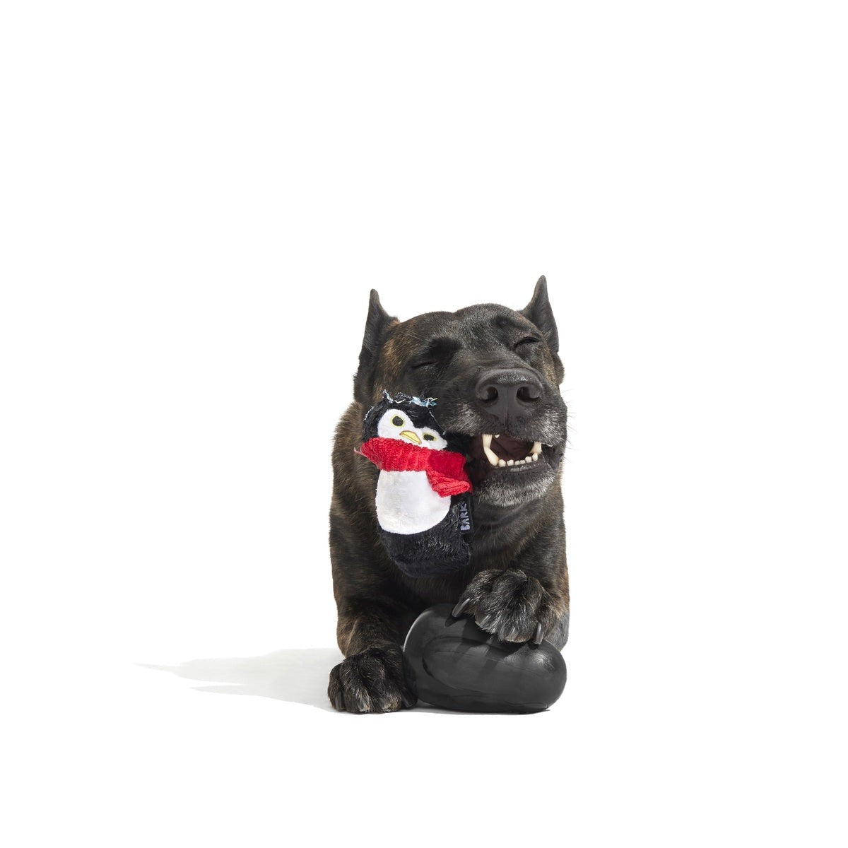 Friendguin Super Chewer Durable 2-in-1 Dog Toy