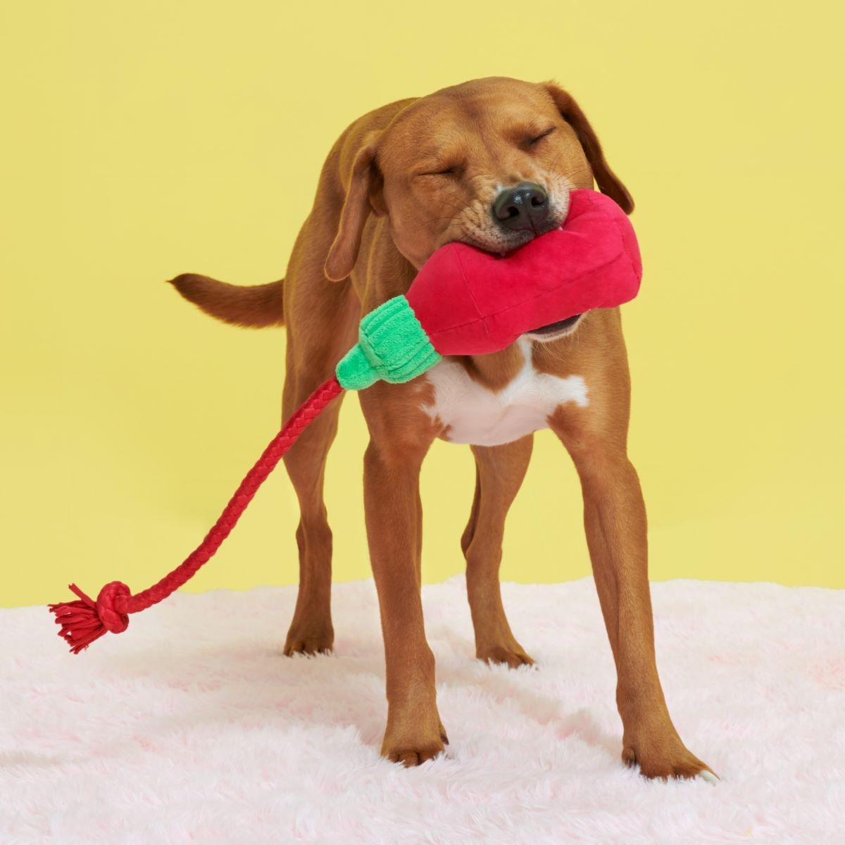 Hot Stuff Plush Tug Dog Toy