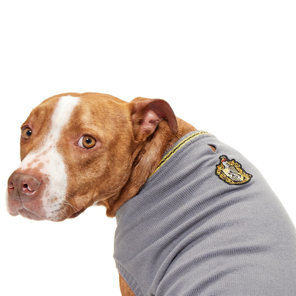 HARRY POTTERTM House Dog Sweater