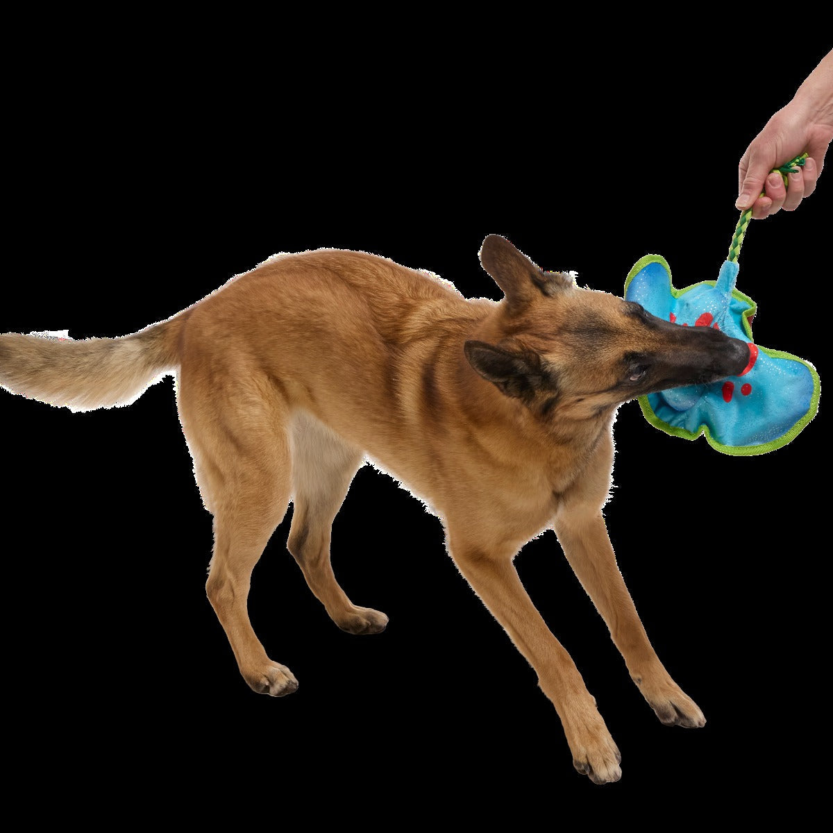 Manny Ray Plush Tug Dog Toy
