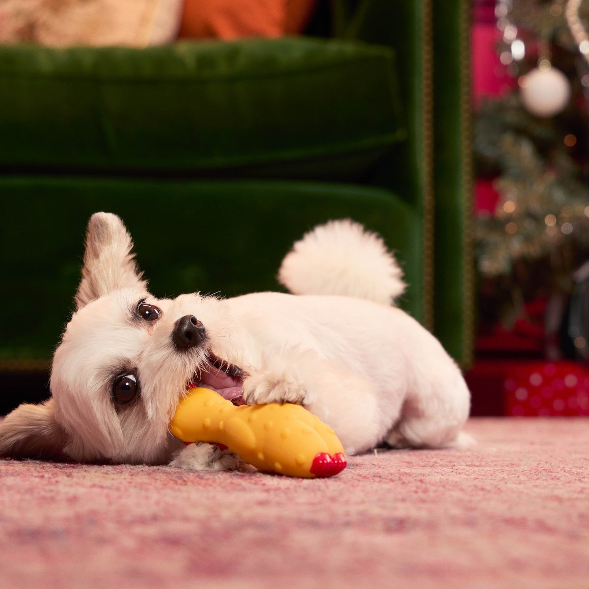 Fozziwig Factory Prop Chicken Durable Super Chewer Gnaw Dog Toy