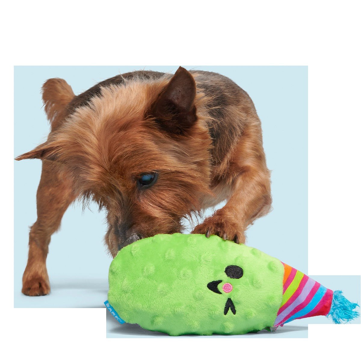 Party Pickle Pedro Plush Tug Dog Toy