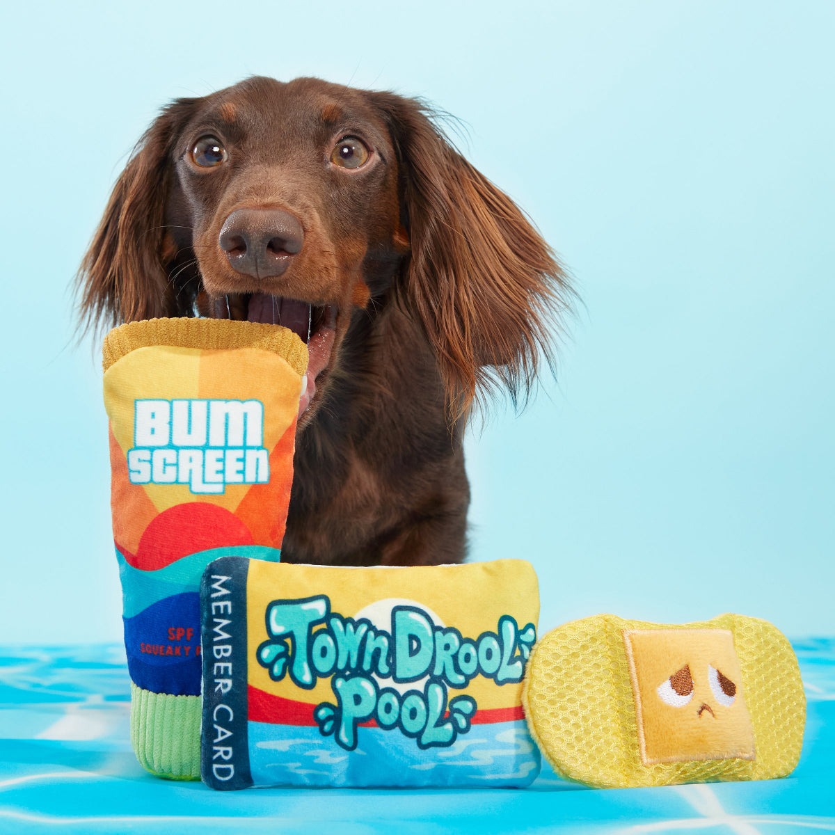 Drool Pool Packup Plush Multi-Part Dog Toy