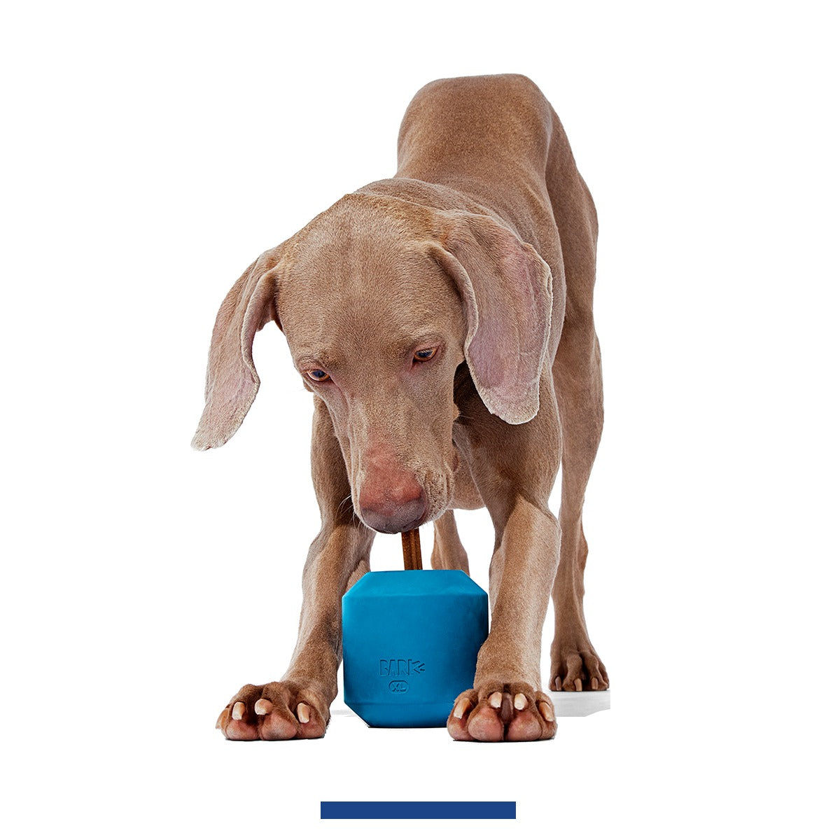 Tank Super Chewer Durable Enrichment Dog Toy