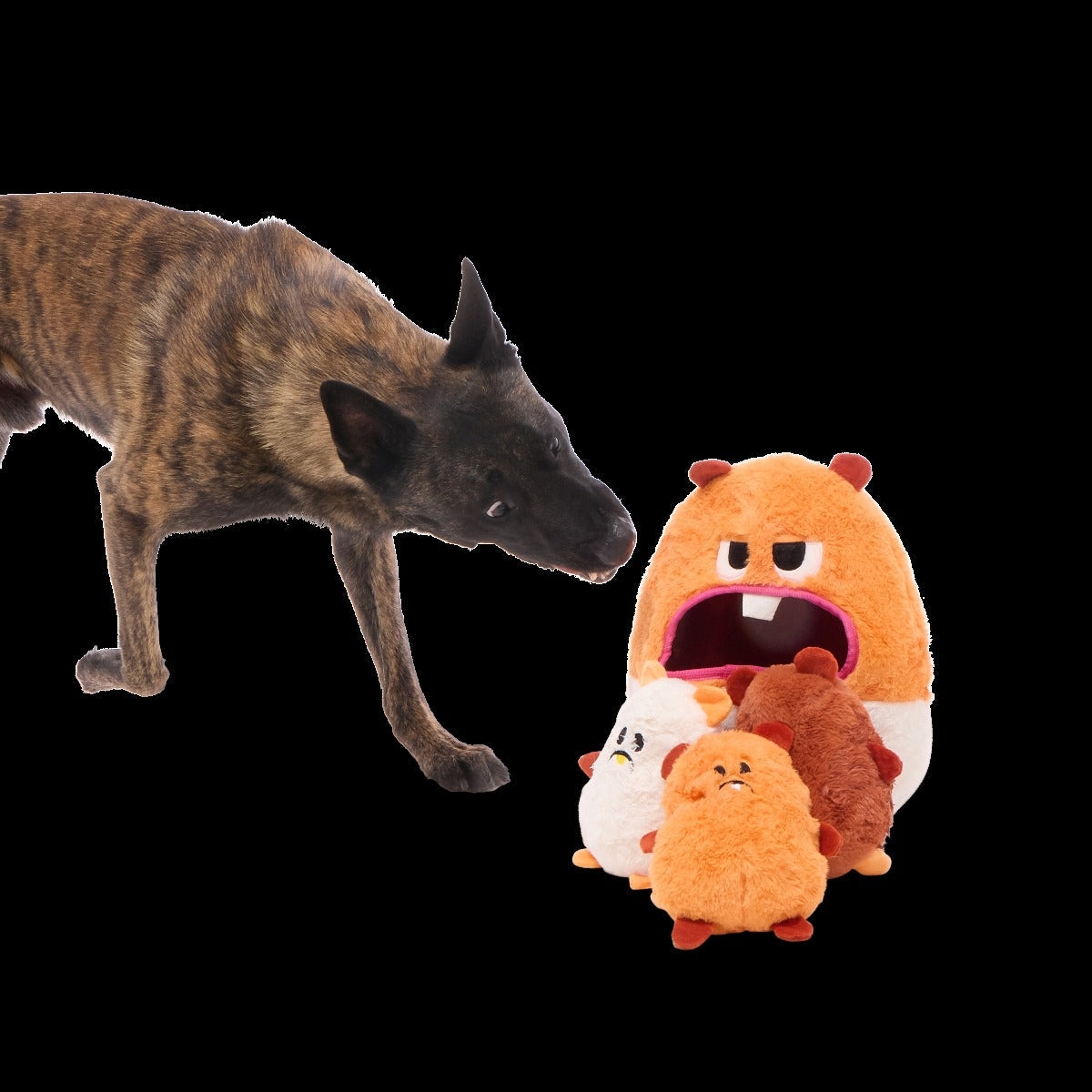 Hannibal Hamster Plush Extra-Large + Multi-Part + Enrichment Dog Toy