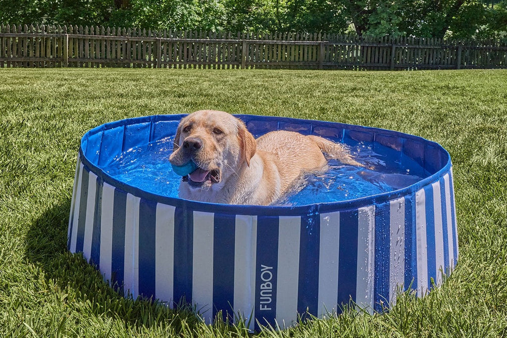 FUNBOY Water Toy