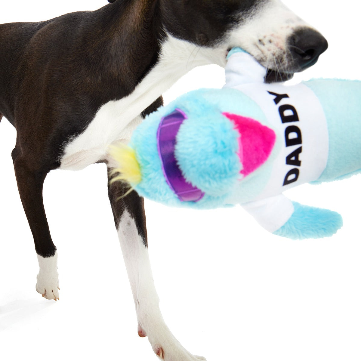Daddy Dolphin Plush Tug Dog Toy