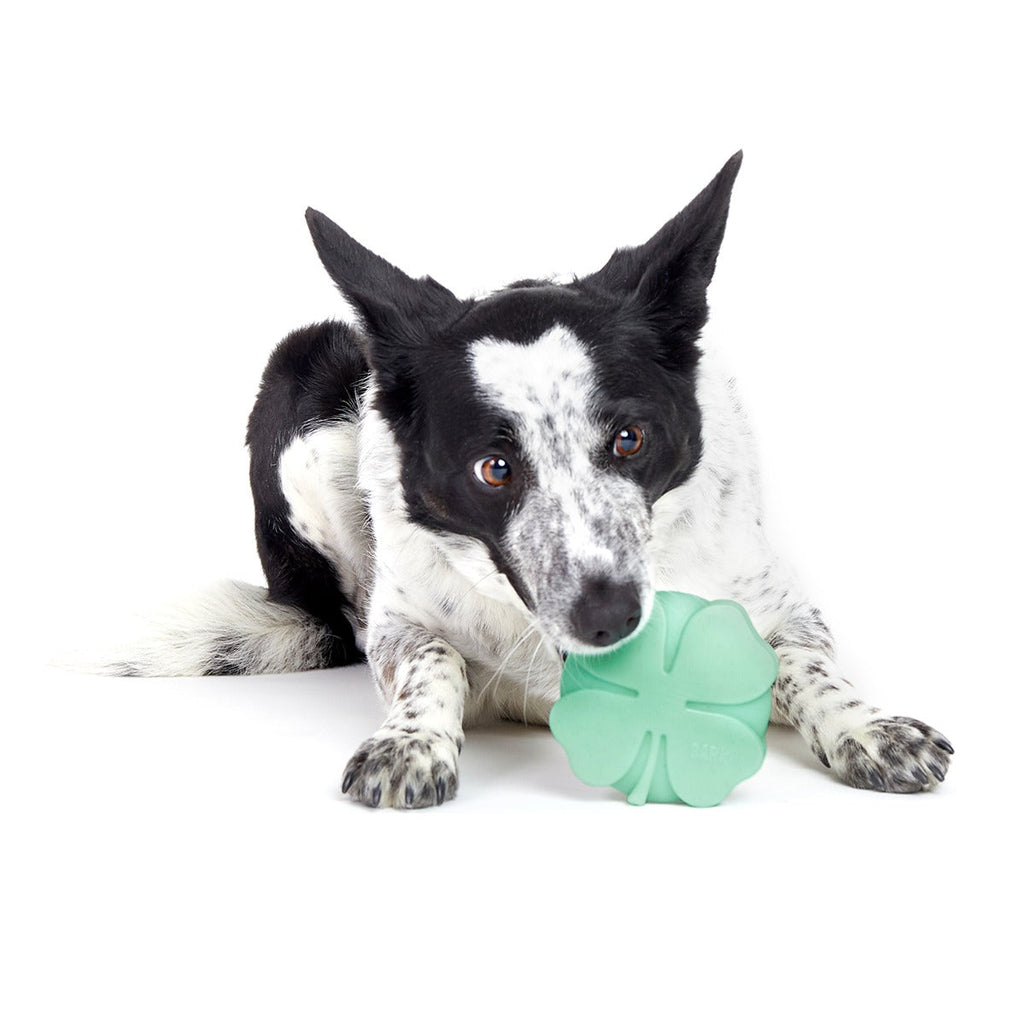 Fur Leaf Clover Super Chewer Durable Gnaw Dog Toy