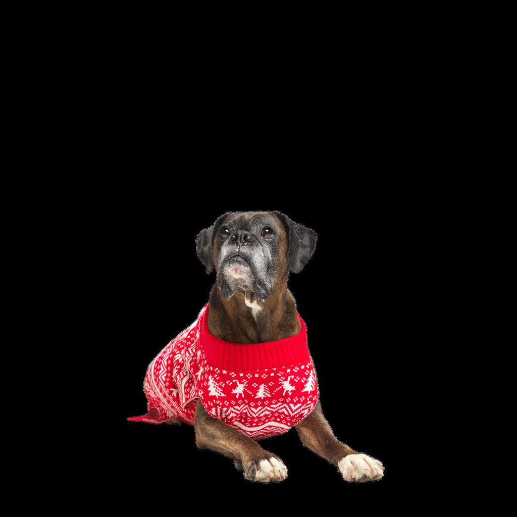 Holiday Sweater Wearable For Dogs