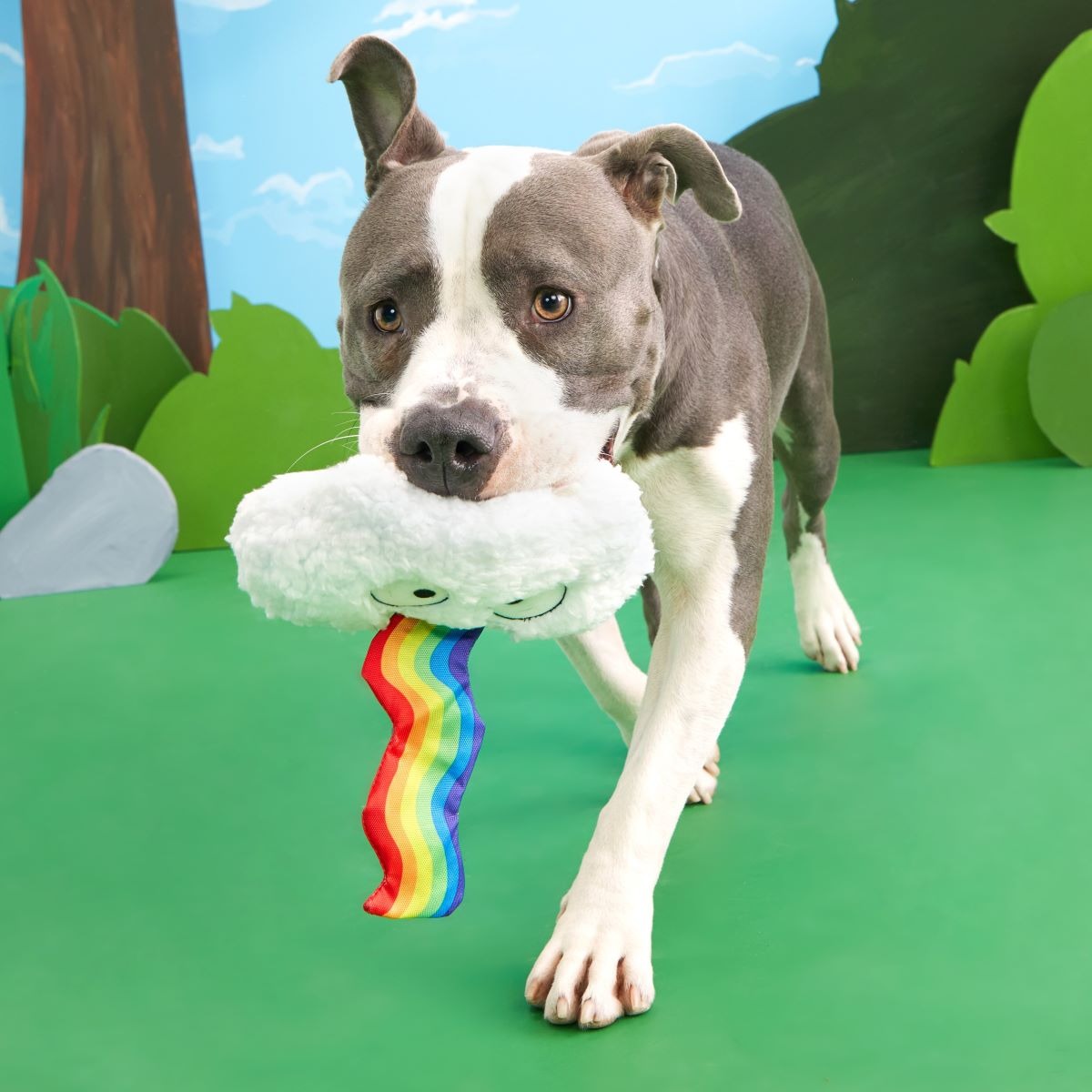 Loud and Proud Cloud Plush Tug Dog Toy