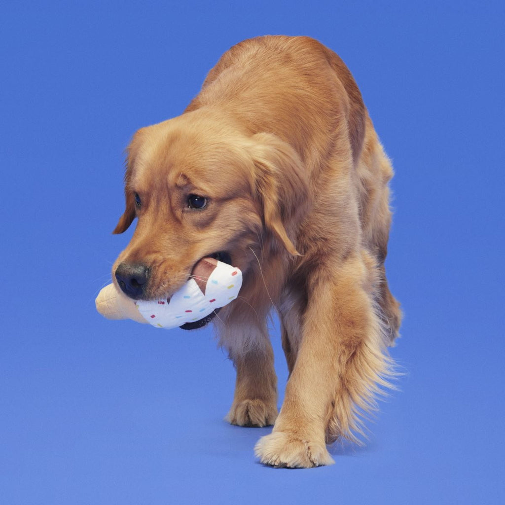 Ice Cream Carn Plush Tug Dog Toy