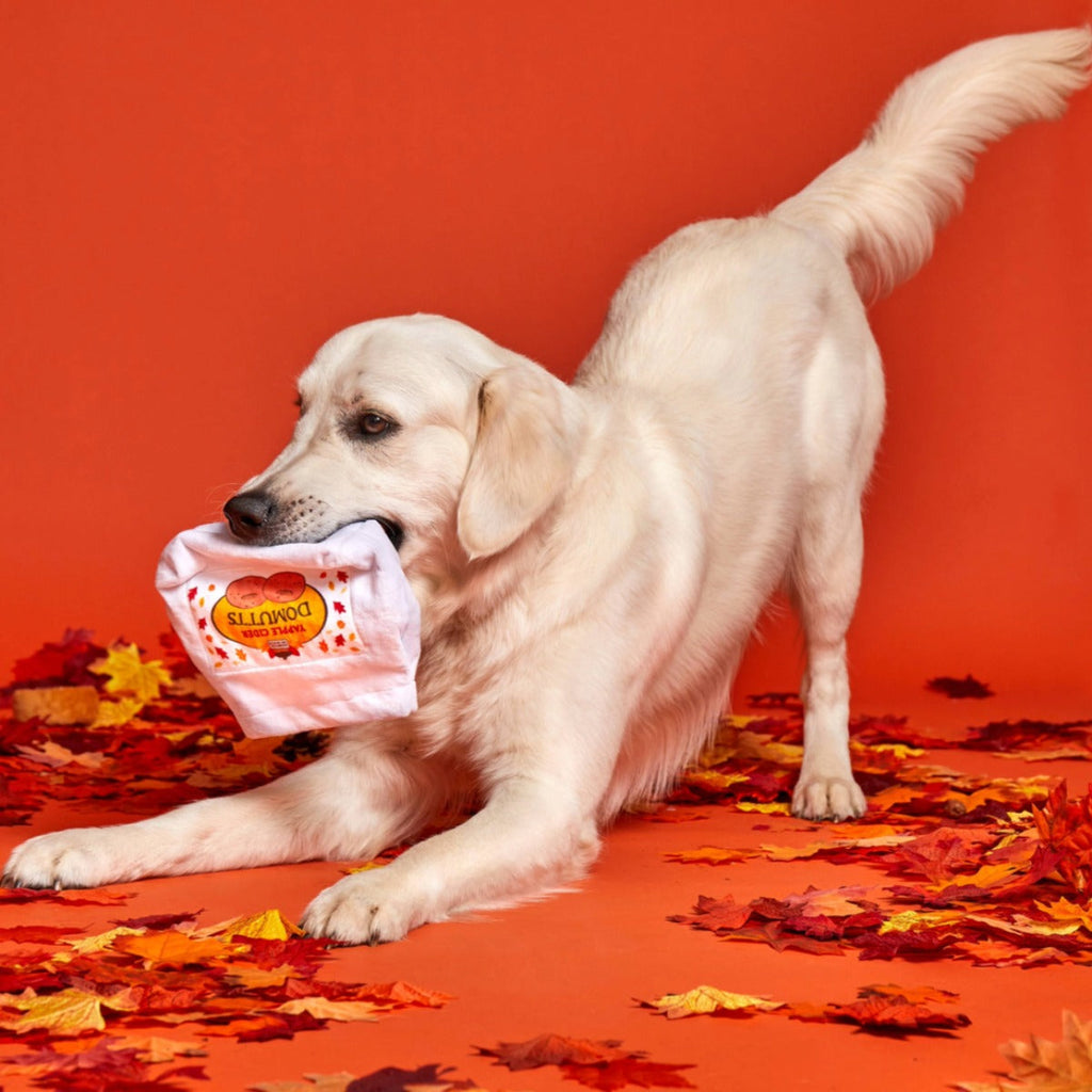 Apple Cider Domutts Plush Multi-Part + Enrichment Dog Toy
