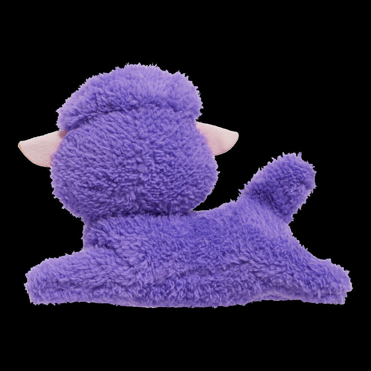 Lil' Bo Squeak Plush Tug Dog Toy