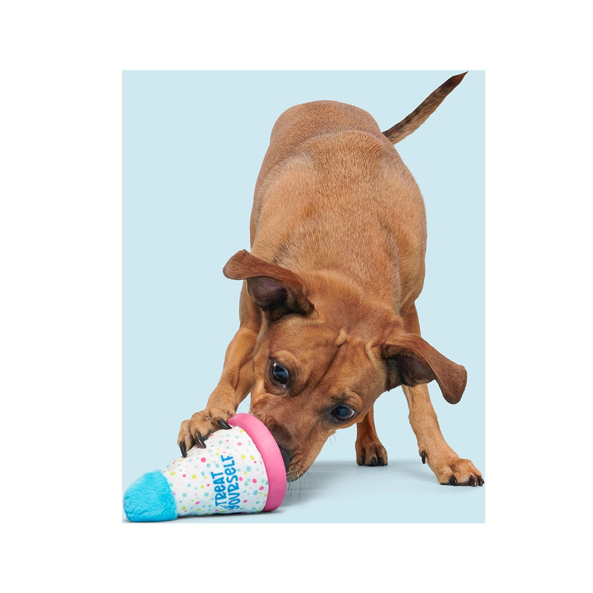 Treat Yourself Party Hat Super Chewer Durable 2-in-1 + Enrichment Dog Toy