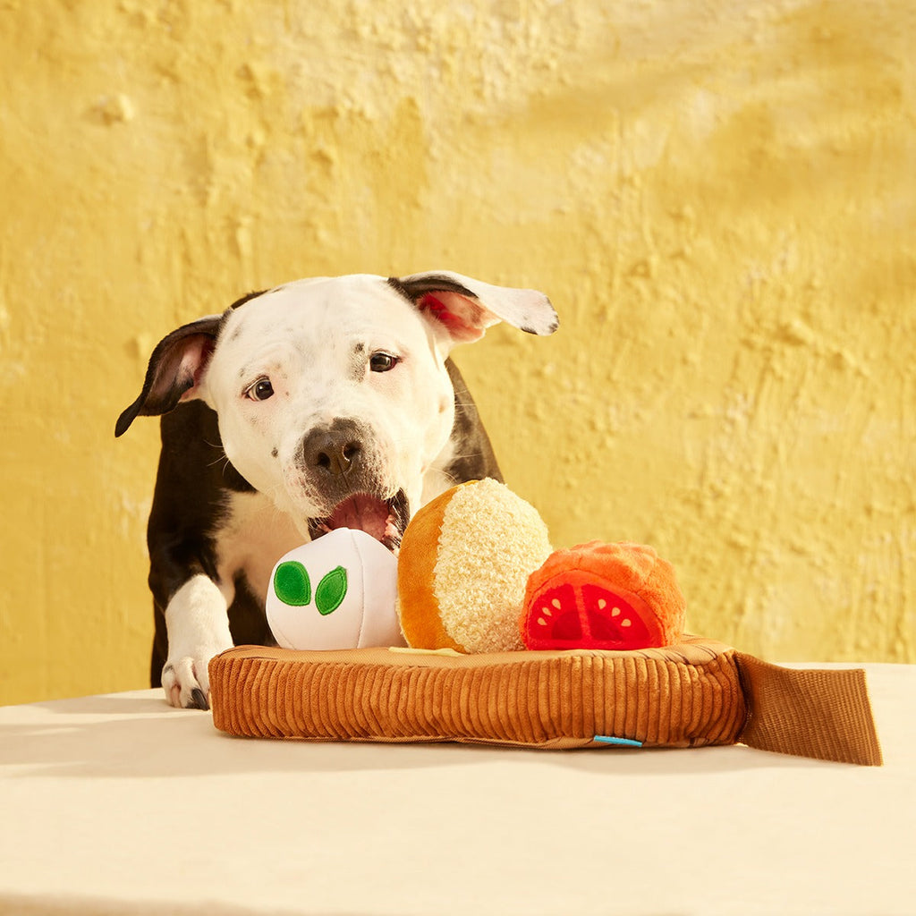 Antipawsto Board Plush Multi-Part + Enrichment Dog Toy