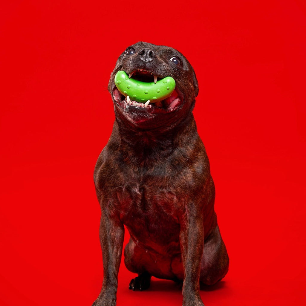 Pickle Stickle Super Chewer Durable Gnaw Dog Toy