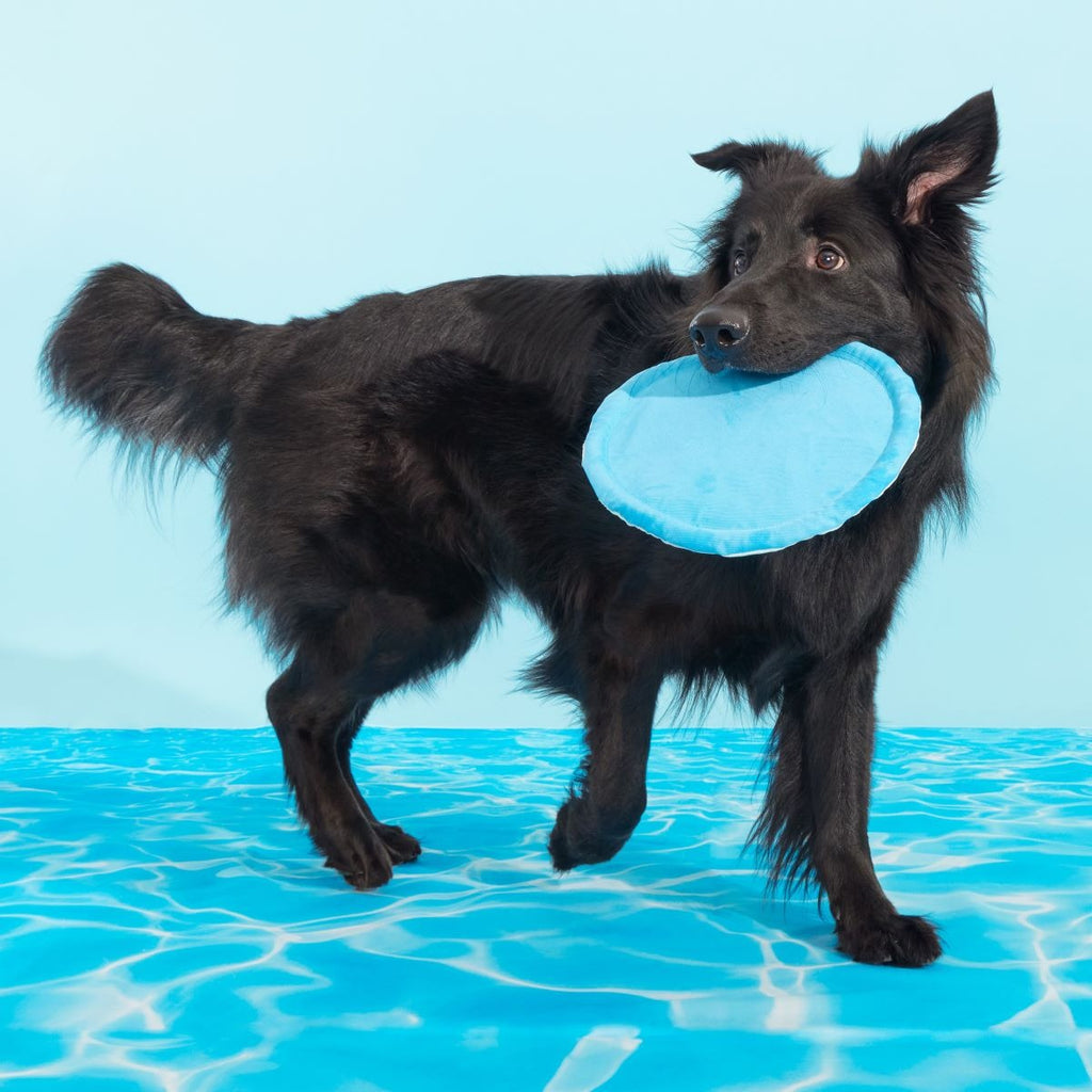 Deep End Disc Plush Fetch Dog Toy