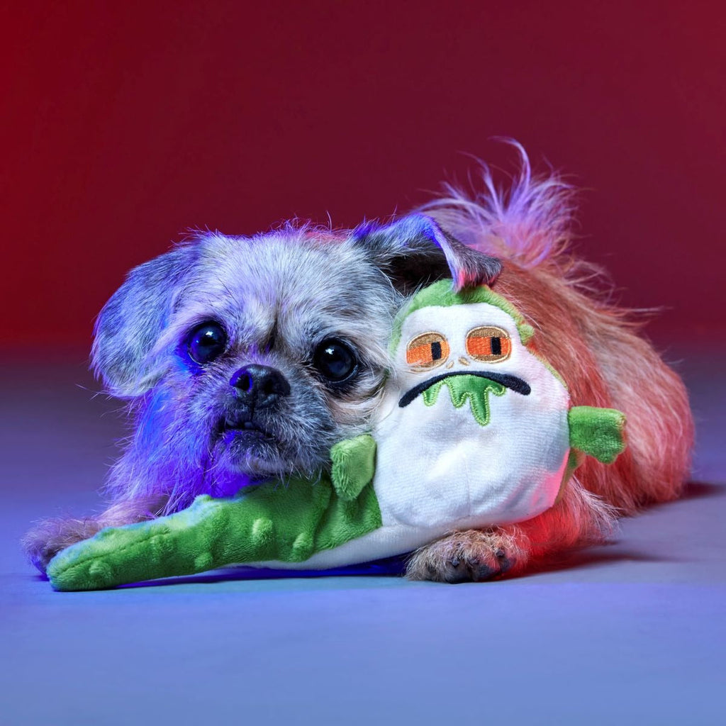 No Barkin', Young JediTM Plush Tug Dog Toy