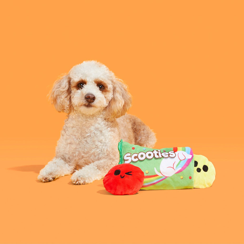 Scooties Candy Plush Multi-Part + Enrichment Dog Toy