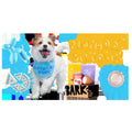 Super Chewer Birthday Bundle