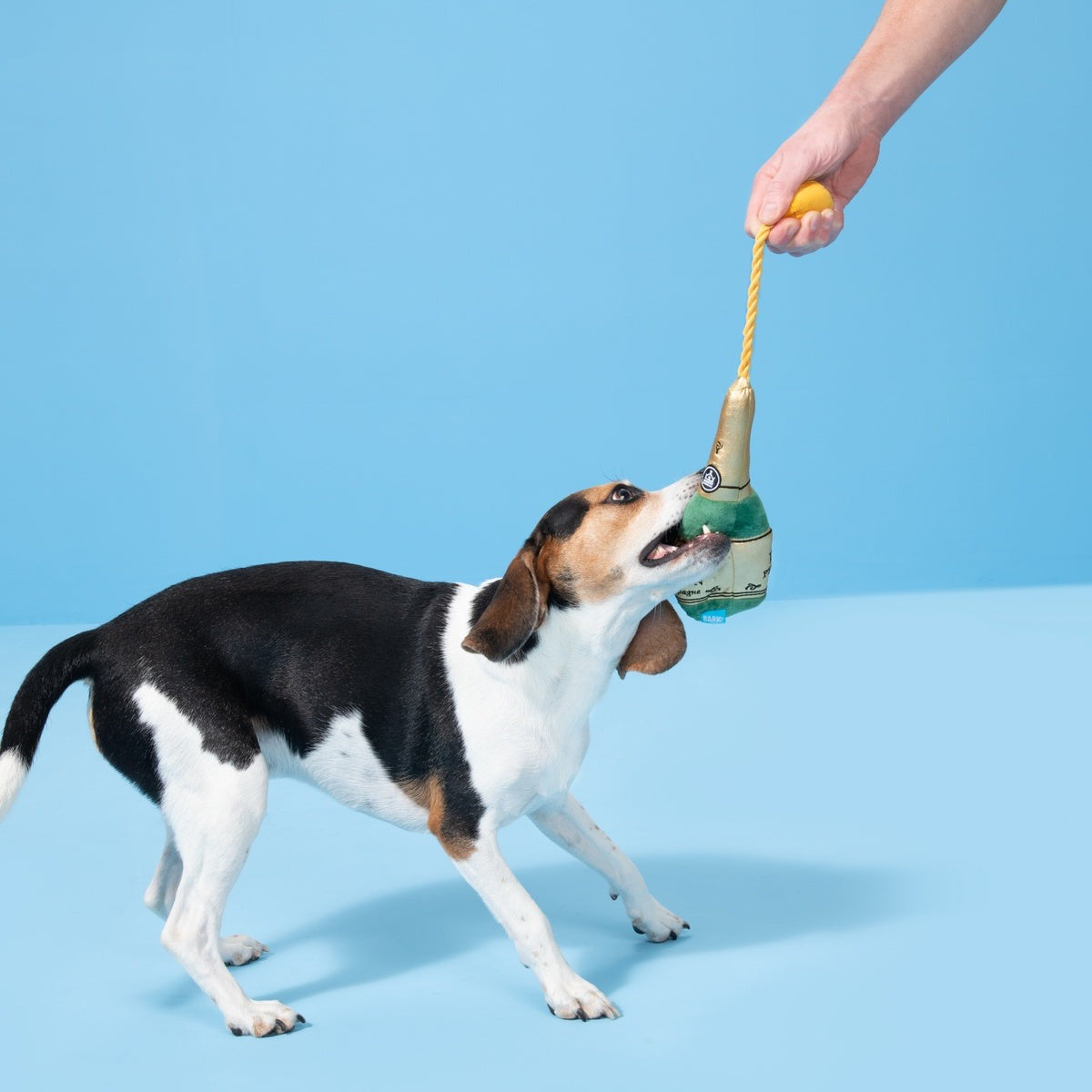 Dog Perignon Plush Tug Dog Toy