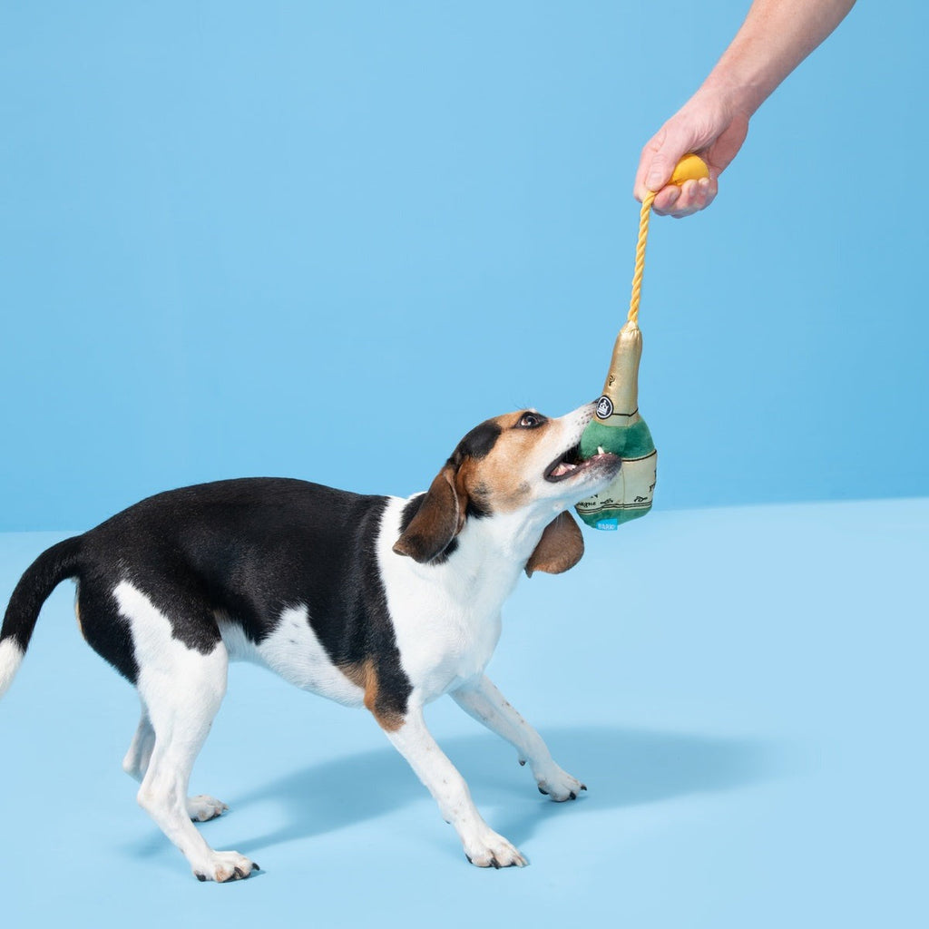Dog Perignon Plush Tug Dog Toy