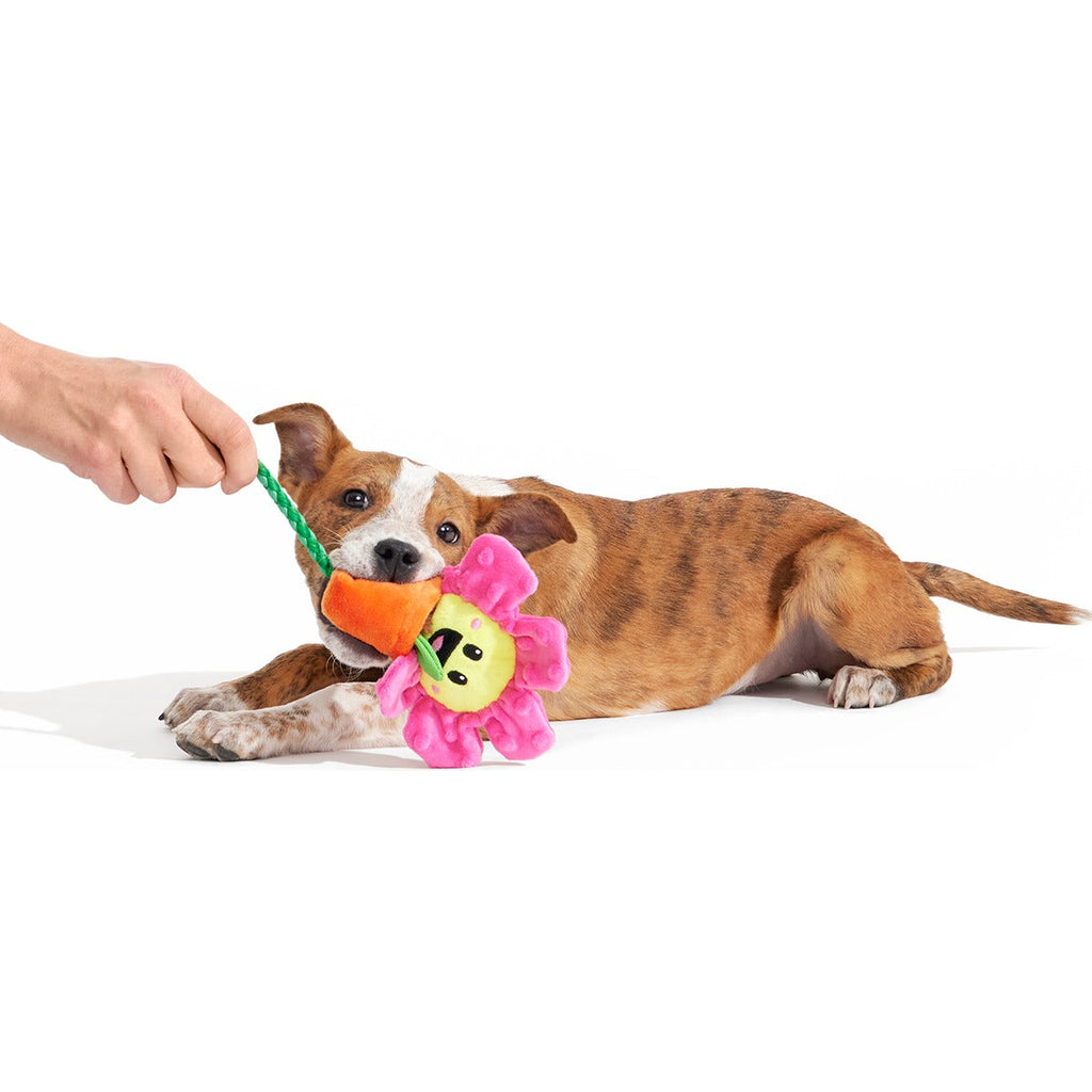 Rose the Daisy Plush Tug Dog Toy