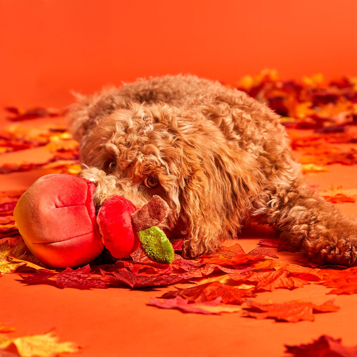 Red Malicious Plush Multi-Part + Enrichment Dog Toy