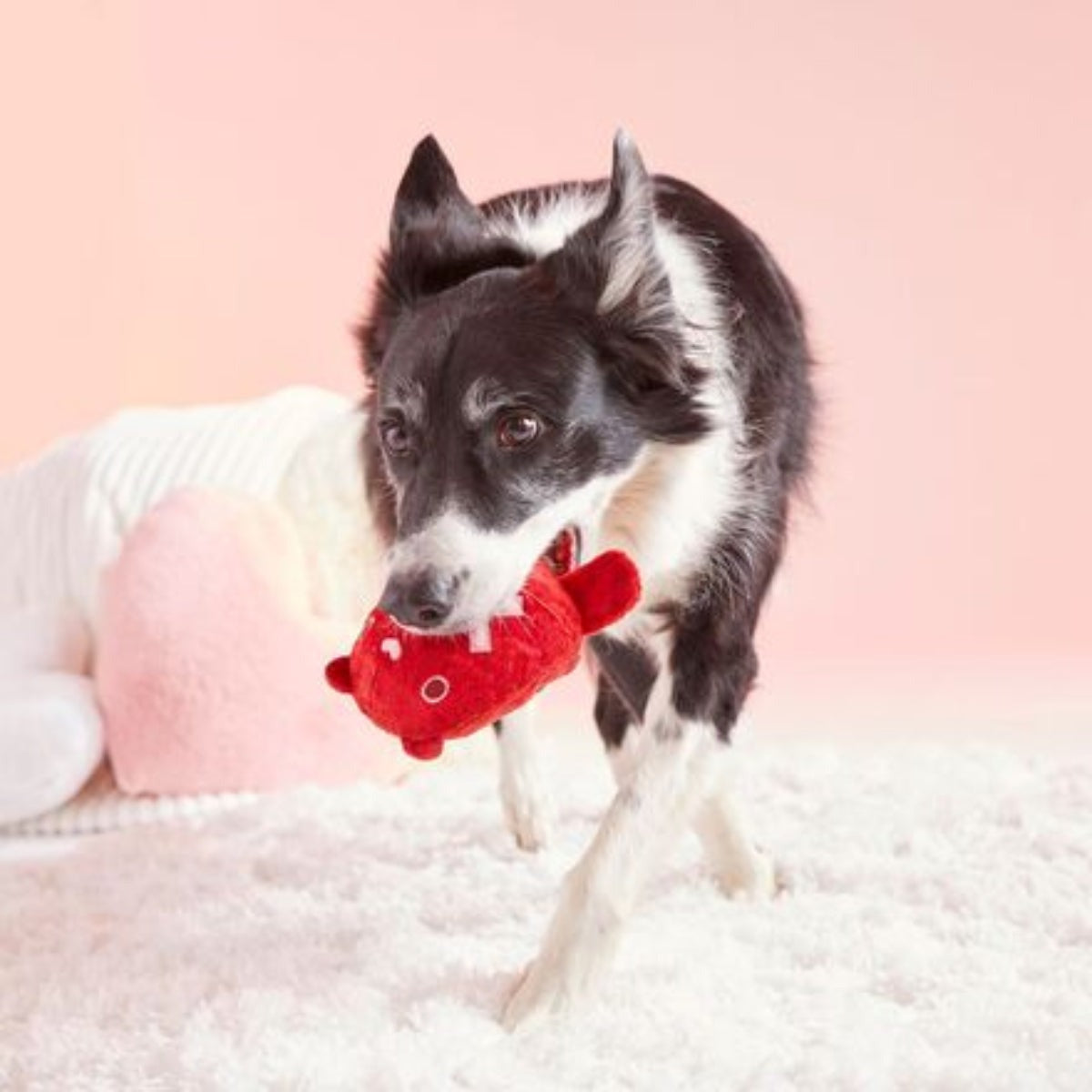 Bear Hugger Super Chewer Durable 2-in-1 + Enrichment Dog Toy