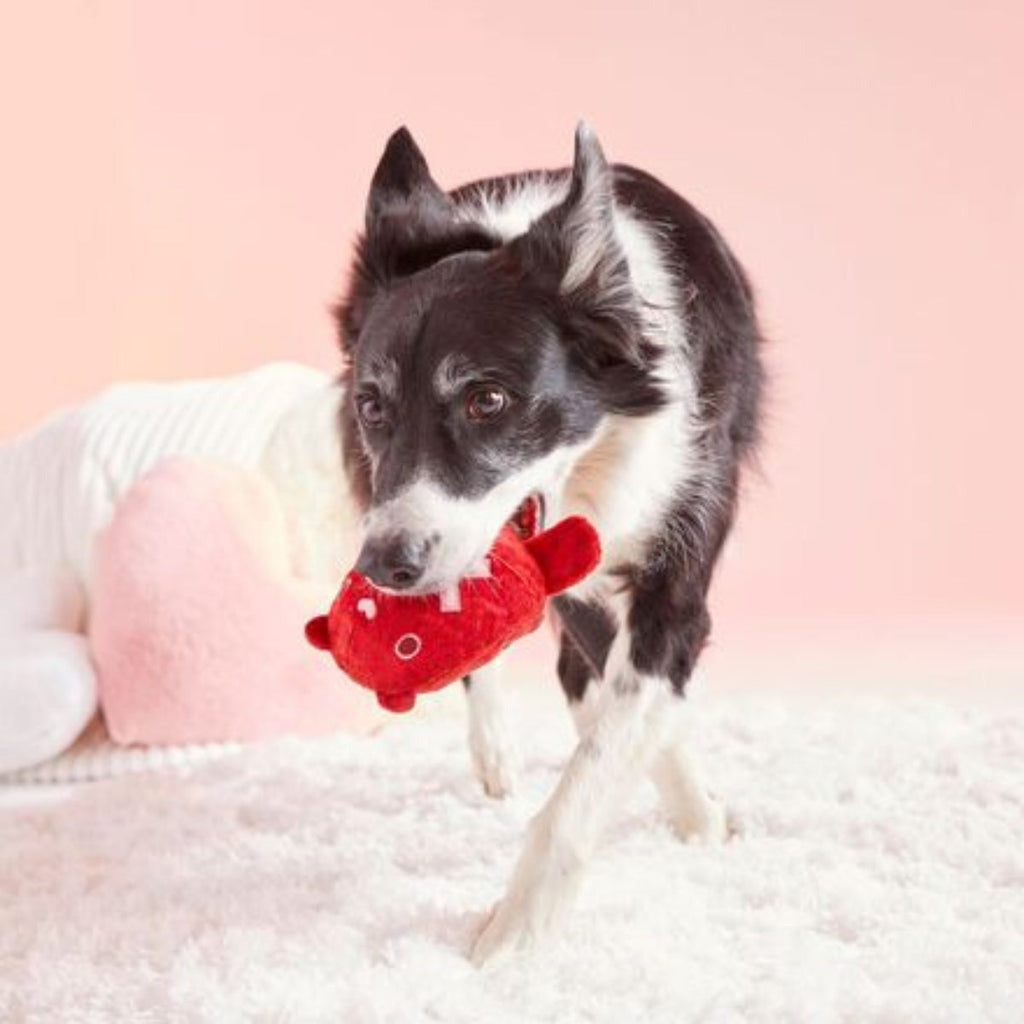 Bear Hugger Super Chewer Durable 2-in-1 + Enrichment Dog Toy