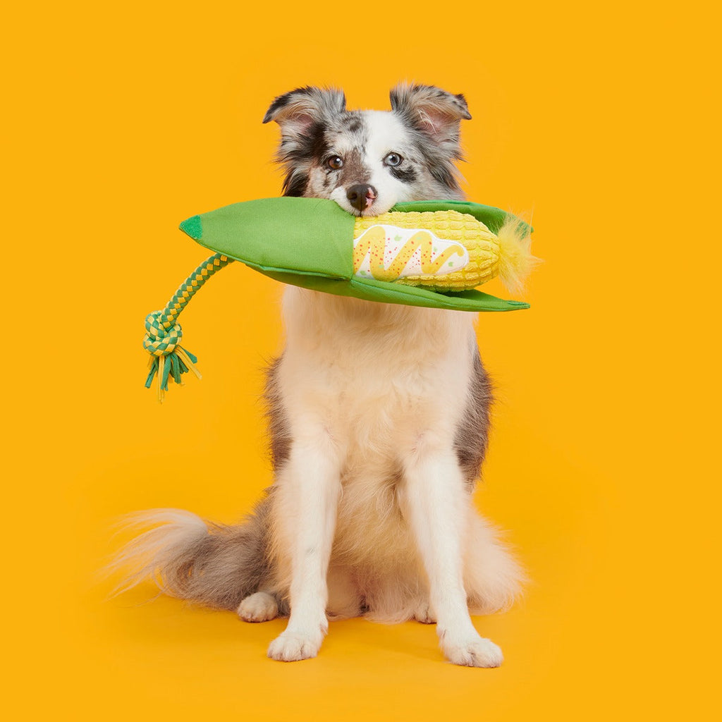 Elote Fun Corn Plush Tug Dog Toy