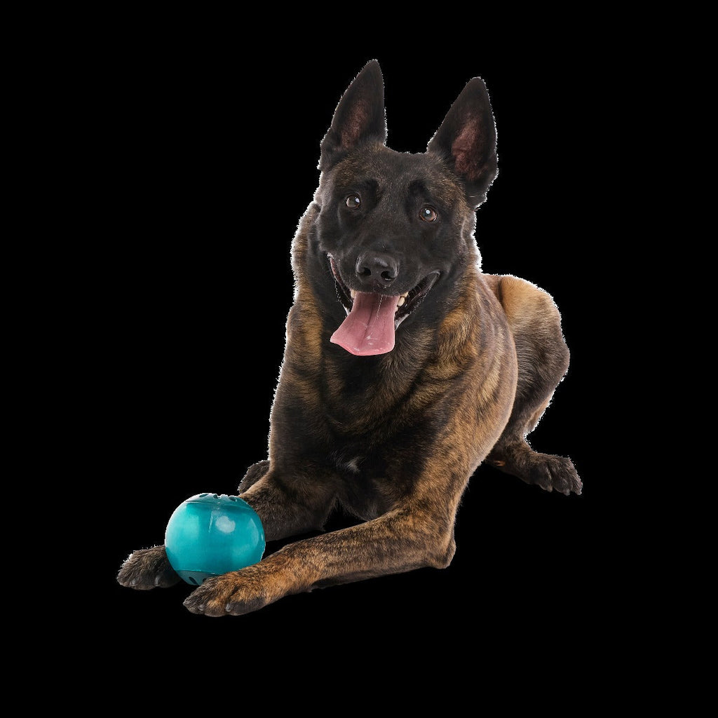 Teal Vortex Super Chewer Durable Enrichment + Fetch Dog Toy