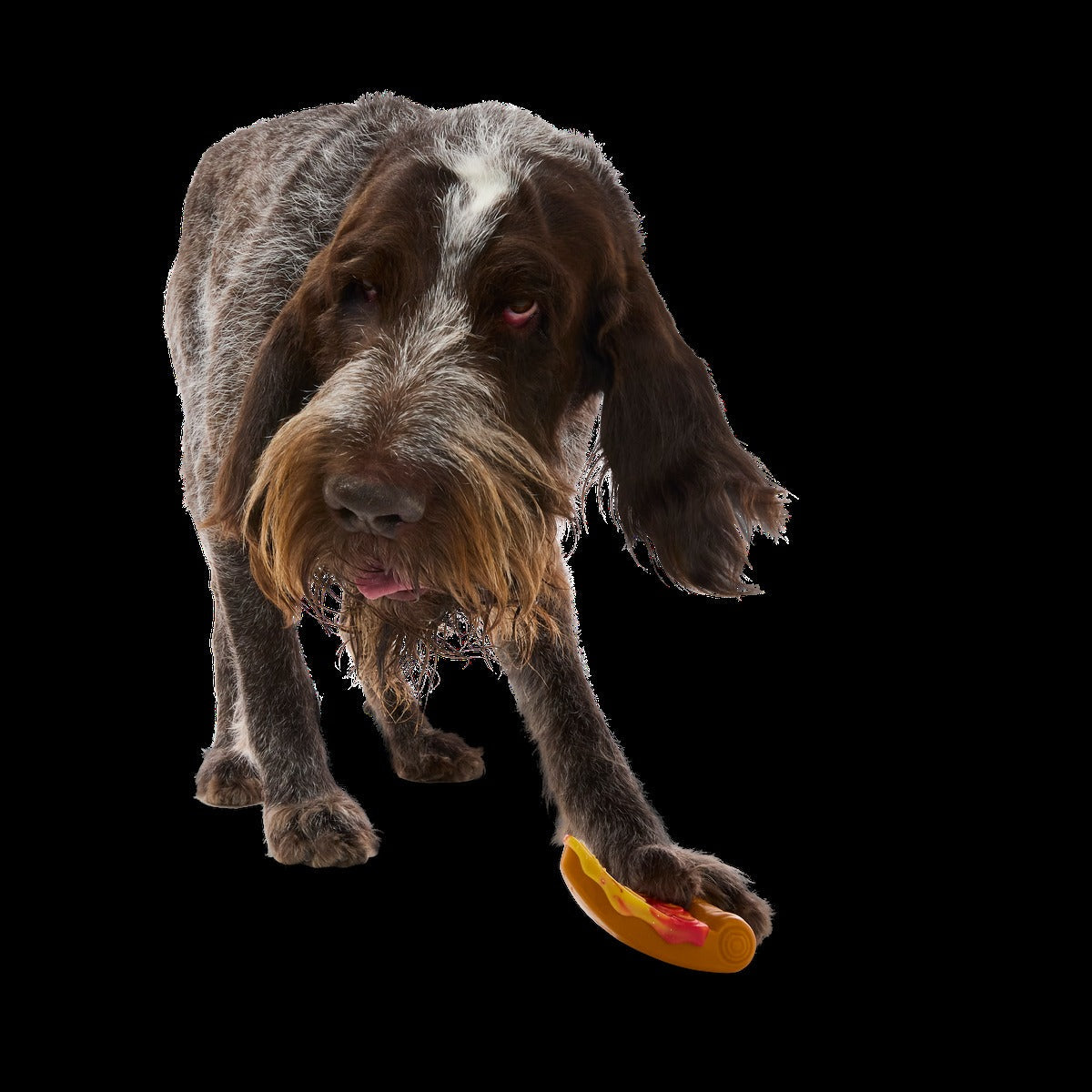 Barkaroni Slice Super Chewer Durable Gnaw Dog Toy