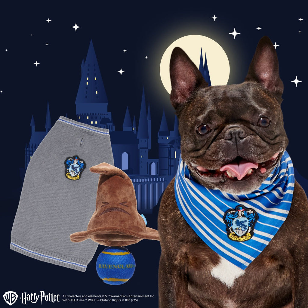 RavenclawTM Bundle