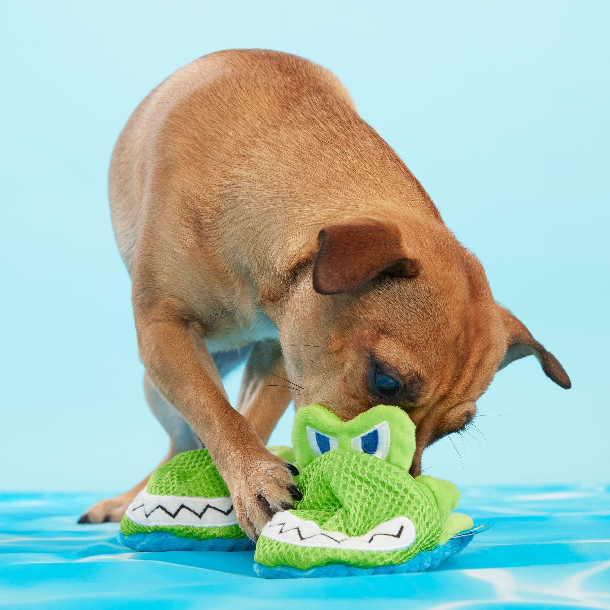 Crocks Plush Multi-Part + Enrichment Dog Toy